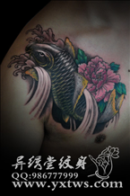 传统彩色鲤鱼纹身